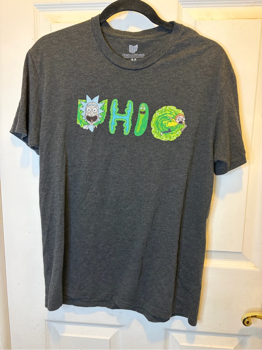 Rick & Morty Pickle Rick OHIO Dark Gray Graphic Tee
